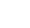 Vision